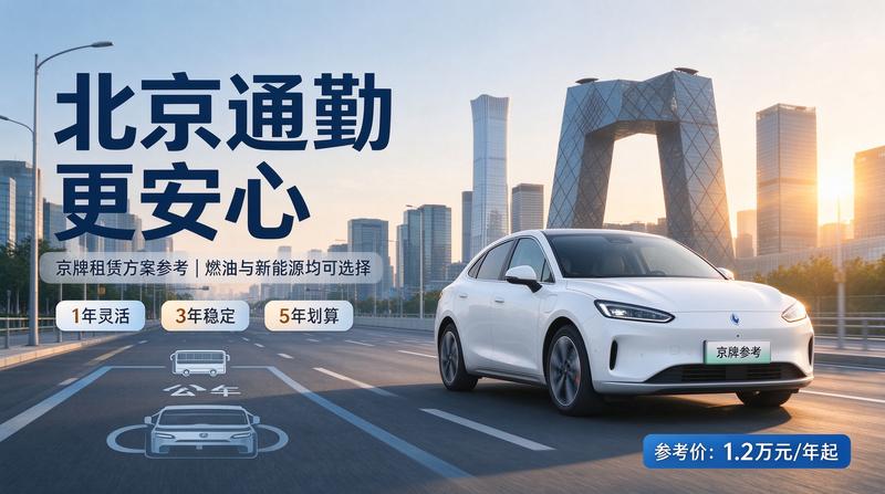 北京小牛京牌行业分析报告